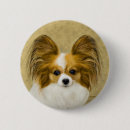 Buscar tri chapas Perro