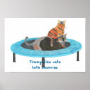 Buscar dos gatos posters Divertido