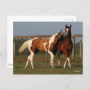Buscar pintura del caballo postales Animales