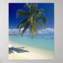 Buscar polinesio posters Verano
