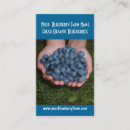 Buscar arándanos tarjetas de visita Fruta fresca