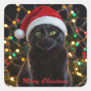 Buscar foto del gato pegatinas Navidades