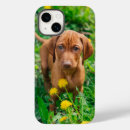 Buscar animal joven iphone fundas Canino