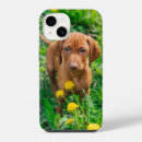 Buscar bebés iphone fundas Perro de pura raza