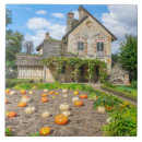 Buscar calabaza azulejos Otoño