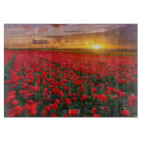 Buscar holanda tablas cortar Paisaje