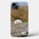 Buscar rapaz electronica El birding
