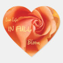 Buscar apricot pegatinas Flores