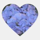 Buscar hortensia pegatinas Floral