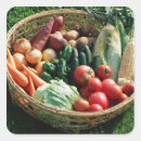 Buscar agricultura pegatinas Alimento