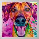Buscar canina posters Animal