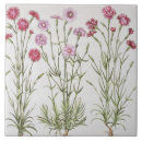 Buscar claveles azulejos Flores