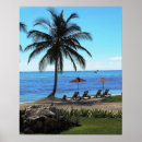 Buscar belice posters Tropical
