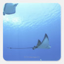 Buscar marianas postales Al aire libre