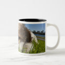 Buscar vancouver tazas Naturaleza