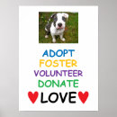 Buscar adopte arte Rescate