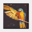 Buscar macaw imanes Loro