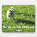 Buscar barra alfombrillas de raton General y unisex