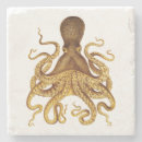 Buscar el pulpo cristaleria bar General y unisex