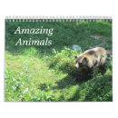 Buscar animal salvaje calendarios Animales salvajes