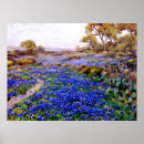Buscar bluebonnets posters Julian onderdonk