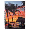 Buscar sol de la florida Tropical