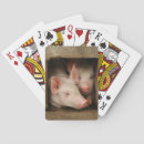 Buscar cochinillo barajas de cartas Cerdo