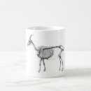 Buscar totes tazas Cabras