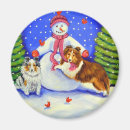 Buscar shetland imanes Perros