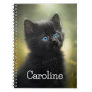Buscar gato hermoso libretas Gatito