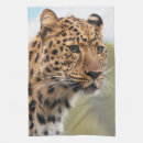 Buscar leopardo paños de cocina Animales salvajes
