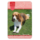 Buscar pestañas imanes Rosa