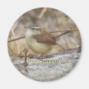Buscar wren imanes Naturaleza