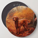 Buscar irish chapas Perro