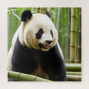 Buscar bosque de bambú puzzles 6 º pesadilla