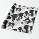Buscar border collie papel de regalo Canino