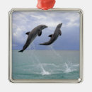 Buscar delfín adornos Animal