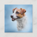 Buscar clipart tarjetas de visita Perro