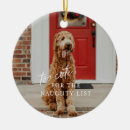 Buscar perros primero decoracion Para mascotas