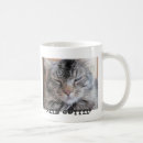 Buscar mún gatito Gruñón