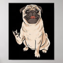 Buscar conciencia mascotas Sordo