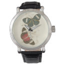 Buscar mariposas relojes Naturaleza