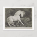 Buscar asustado postales Caballo