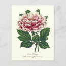 Buscar prosperidad tarjetas Floral
