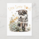 Buscar malamute de alaska postales Cachorro