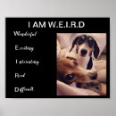 Buscar weiner posters Dachshund