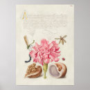 Buscar bayas posters 8 º fruta