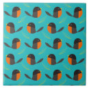 Buscar birds azulejos Aves