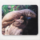 Buscar monitor alfombrillas de raton Lagarto