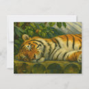 Buscar durmiendo postales Gran gato